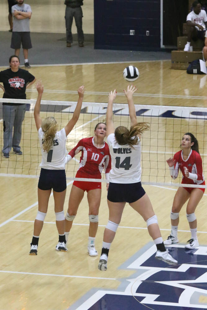 Gallery: Girls volleyball - Crown Point at Michigan City